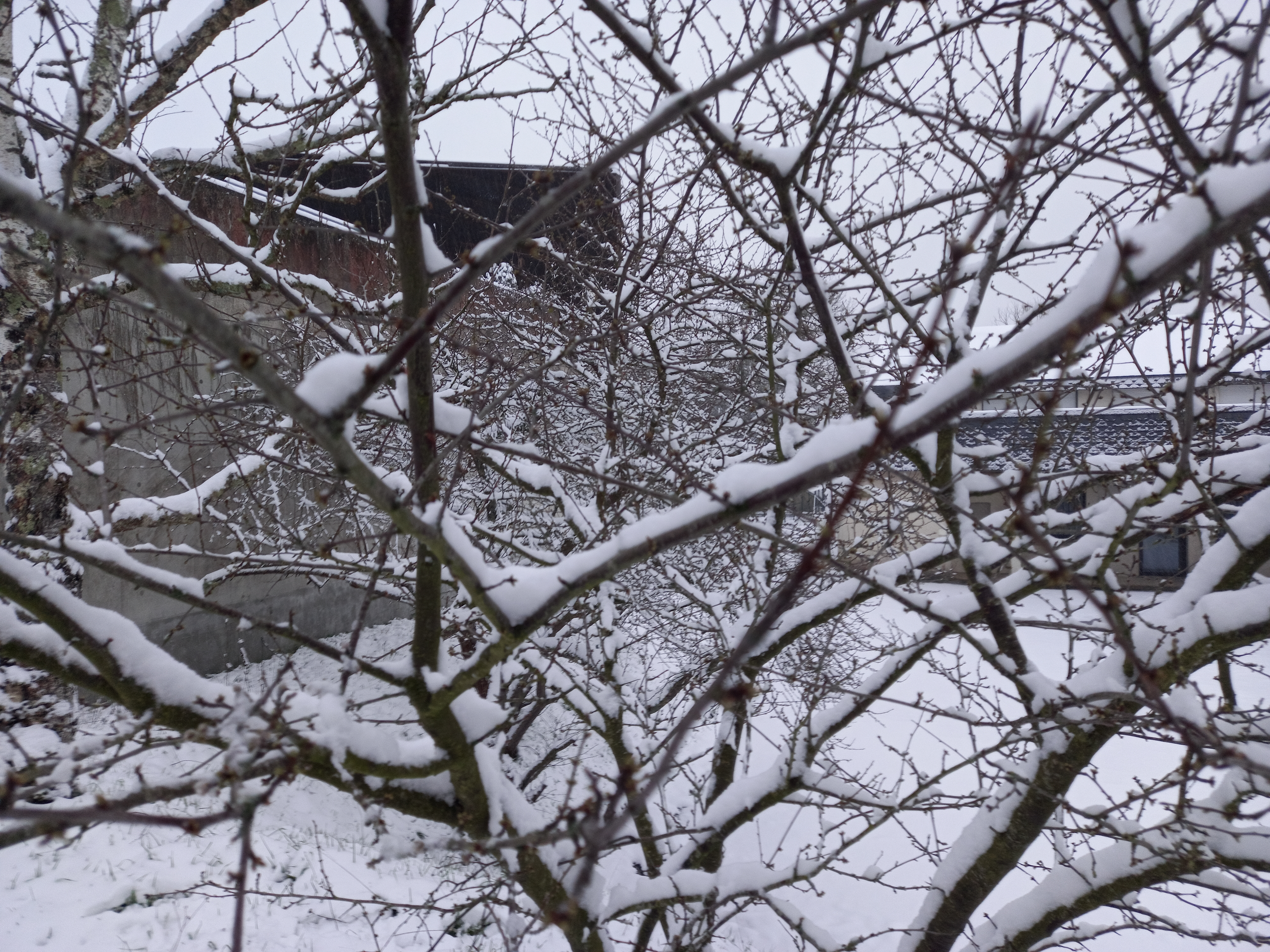 20210210_083829.jpg (16.93 MB)